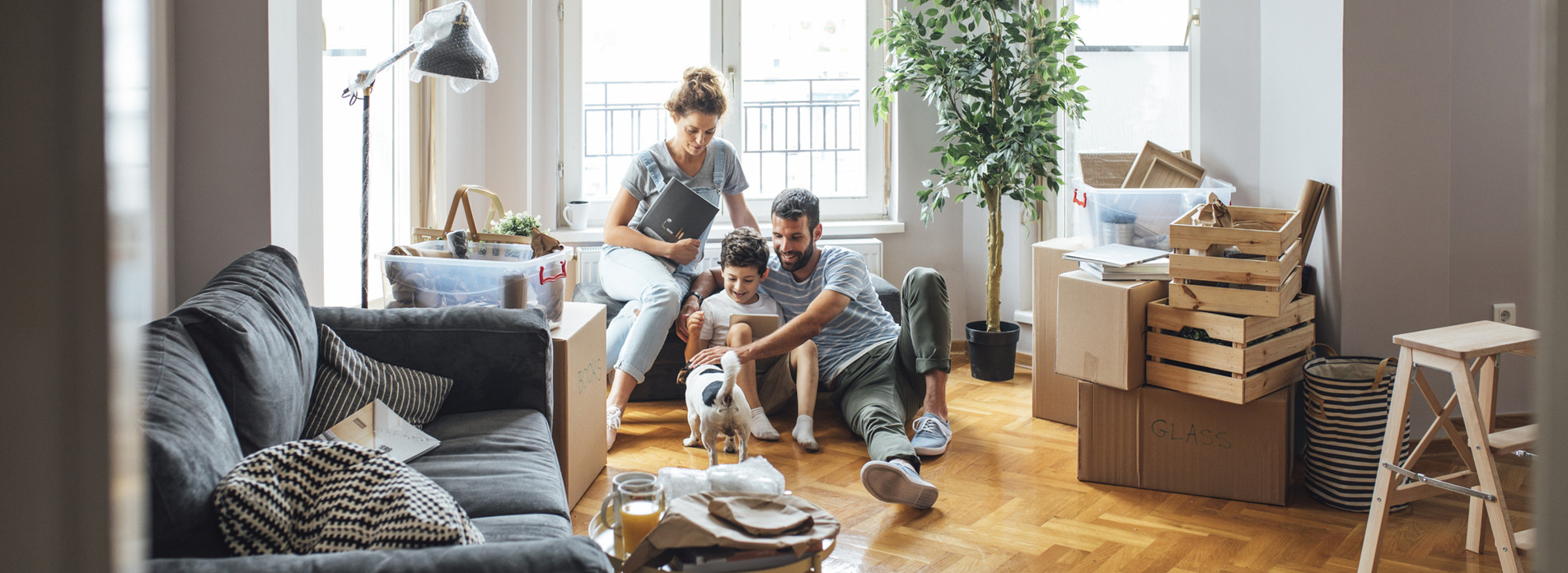 Bertrand SARL à Macon, membre du réseau expert Vachette